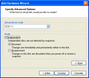 sdisk02_independent_persistent